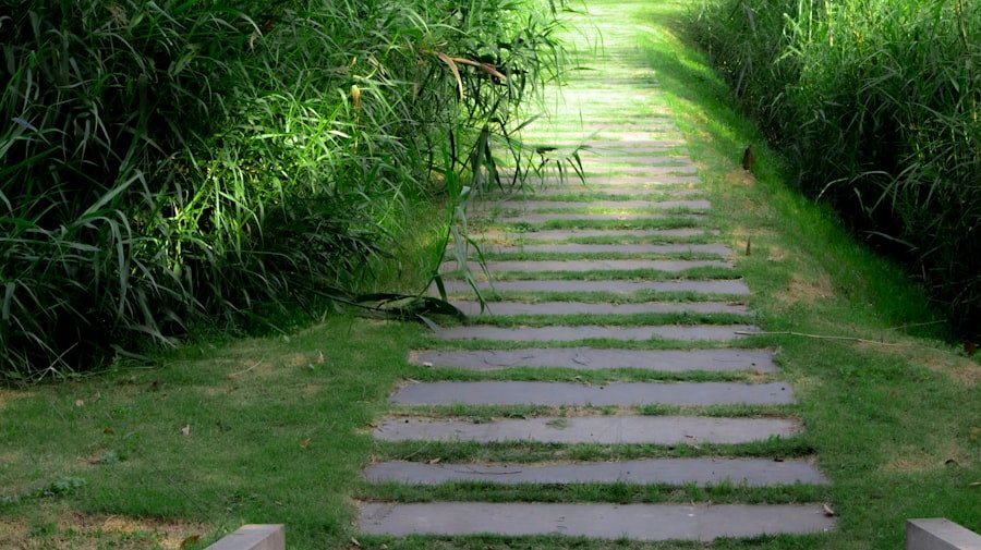 Natural Healing Path