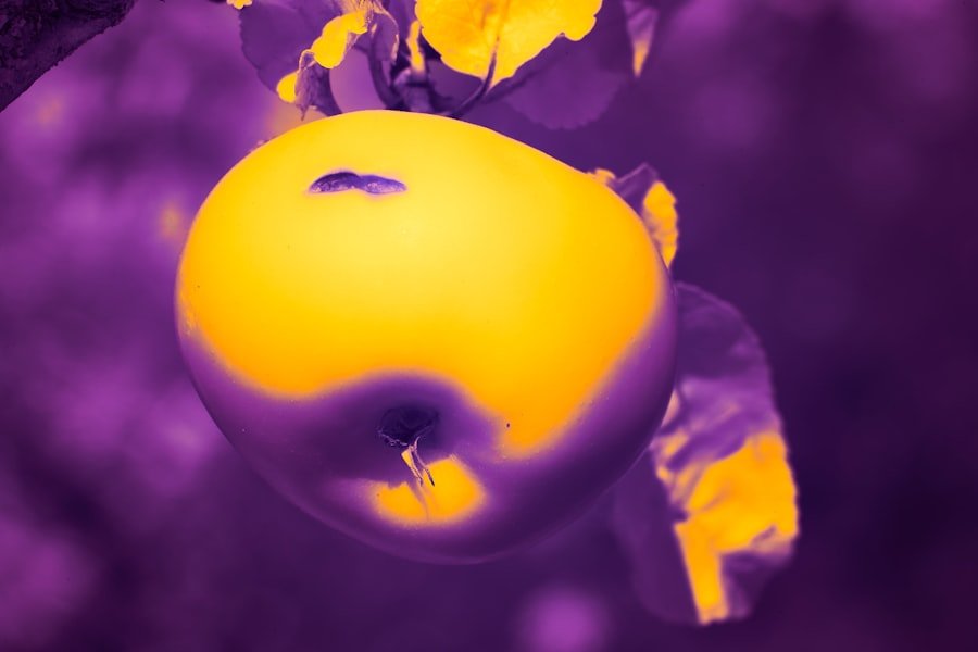 Photo pancreatic cancer cure